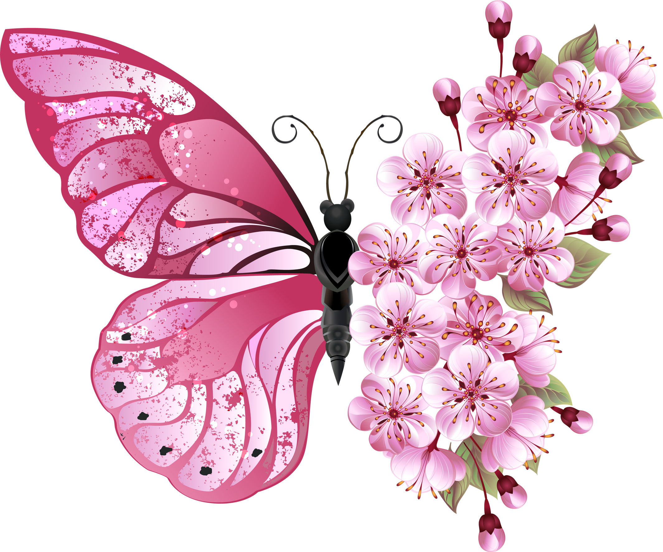 Flower Butterfly with Pink Sakura